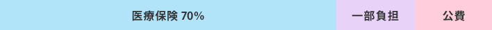 医療保険70% 一部負担 公費30%