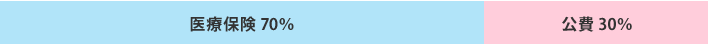医療保険70% 公費30%