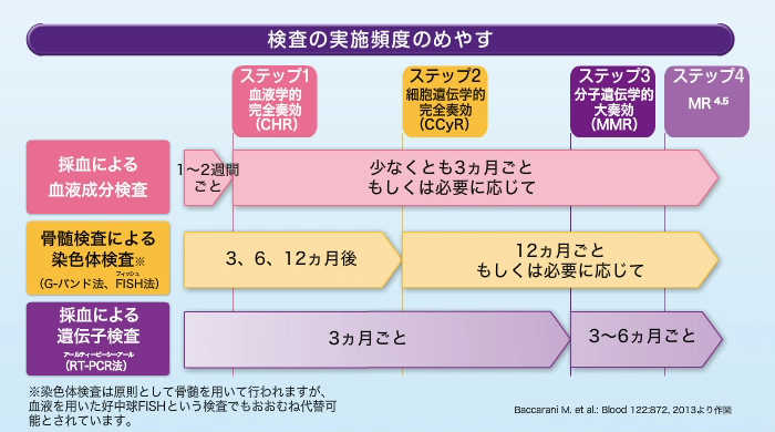 検査の実施頻度のめやすのイメージ