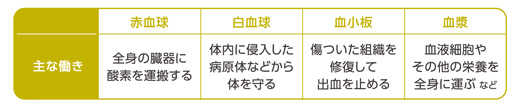 血液細胞、血漿の役割