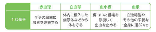 血液細胞、血漿の役割