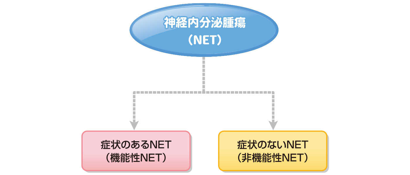 ホルモン症状の有無による分類