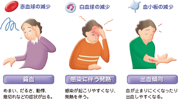 貧血　感染に伴う発熱　出血傾向