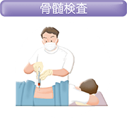 骨髄検査