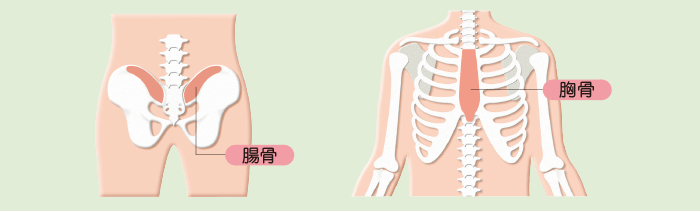 骨髄 (medicina 43巻9号) | 医書.jp