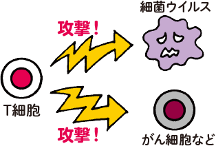 正常な状態
