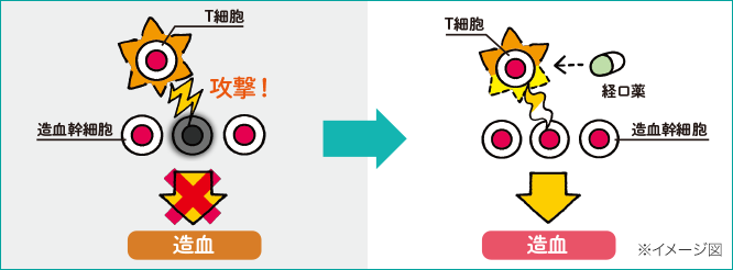 ①経口薬による治療