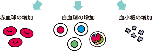 造血幹細胞の増殖促進