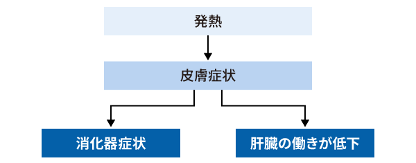 発熱→皮膚症状→消化器症状・肝臓の働きが低下