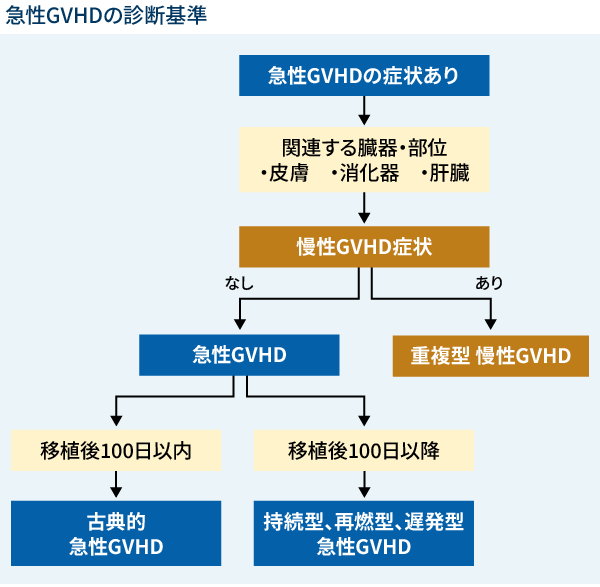 チャート：急性GVHDの診断基準