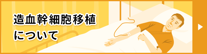 造血幹細胞移植について