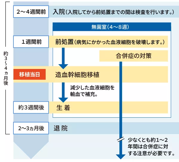 造血幹細胞移植の方法