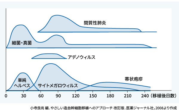 画像：感染症を起こしやすい病原体とその時期