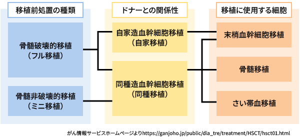 画像：造血幹細胞移植の種類