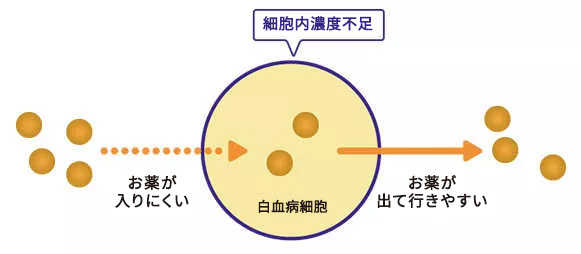 細胞内濃度不足イメージ