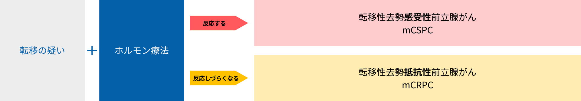 画像：ホルモン療法への反応性に応じた転移性前立腺がんの分類