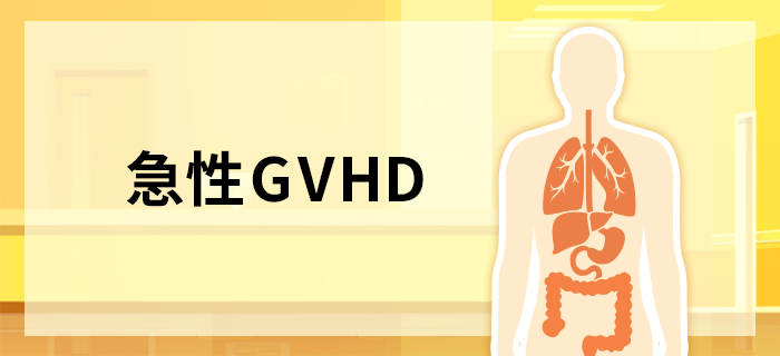 急性GVHD