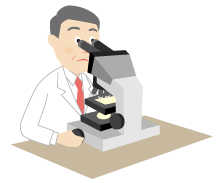 生体組織診断のイメージ