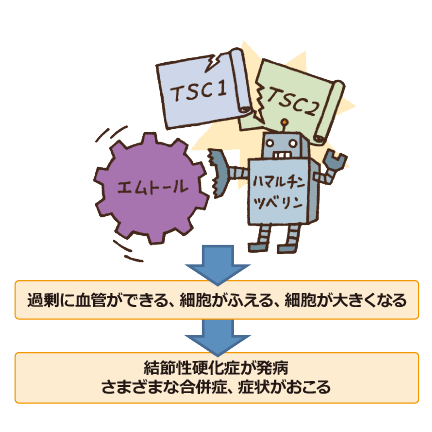 遺伝子に変化がおこった後