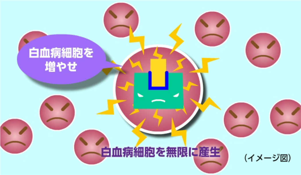 白血病細胞を無限に産生するイメージ