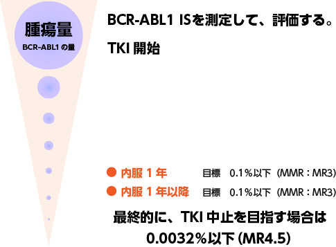 BCR-ABL1 ISを測定して、評価する。イメージ