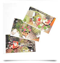 ガーデニング写真