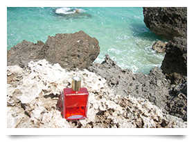 大好きな宮古島