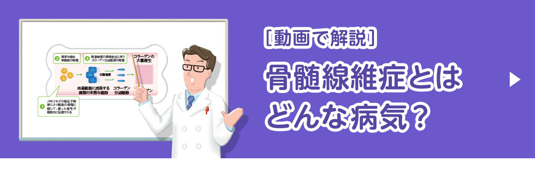動画で解説：骨髄線維症とはどんな病気？