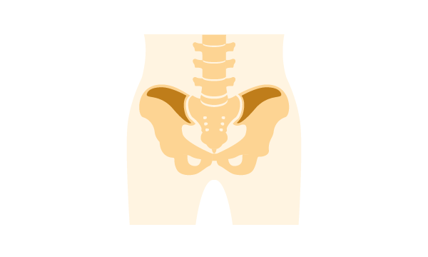 イラスト：腸骨