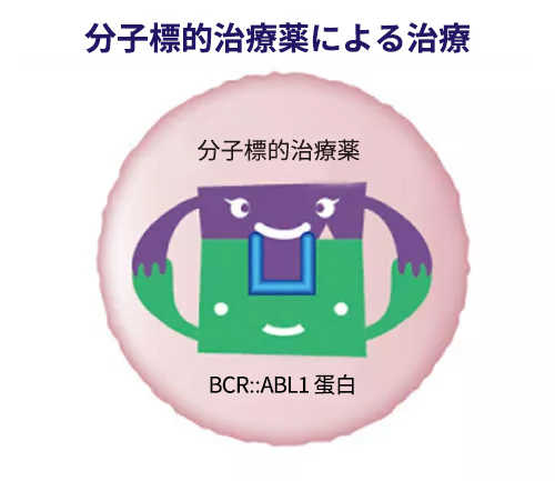 イメージ：分子標的治療薬による治療